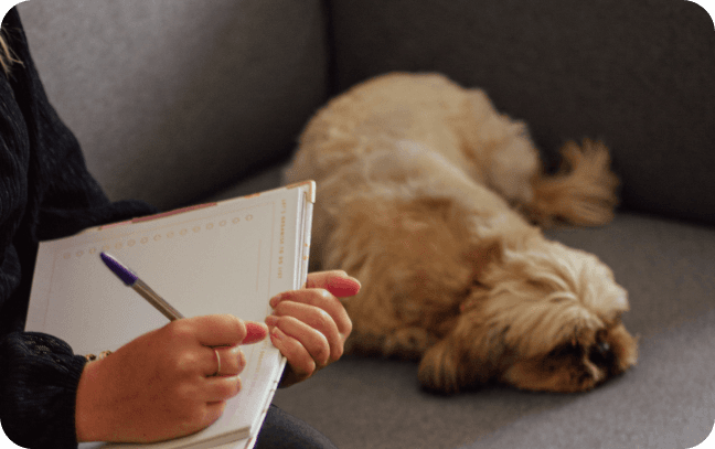 dog asleep while human writing